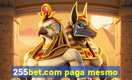 255bet.com paga mesmo